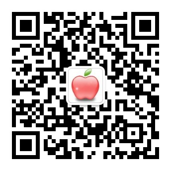 bob更新